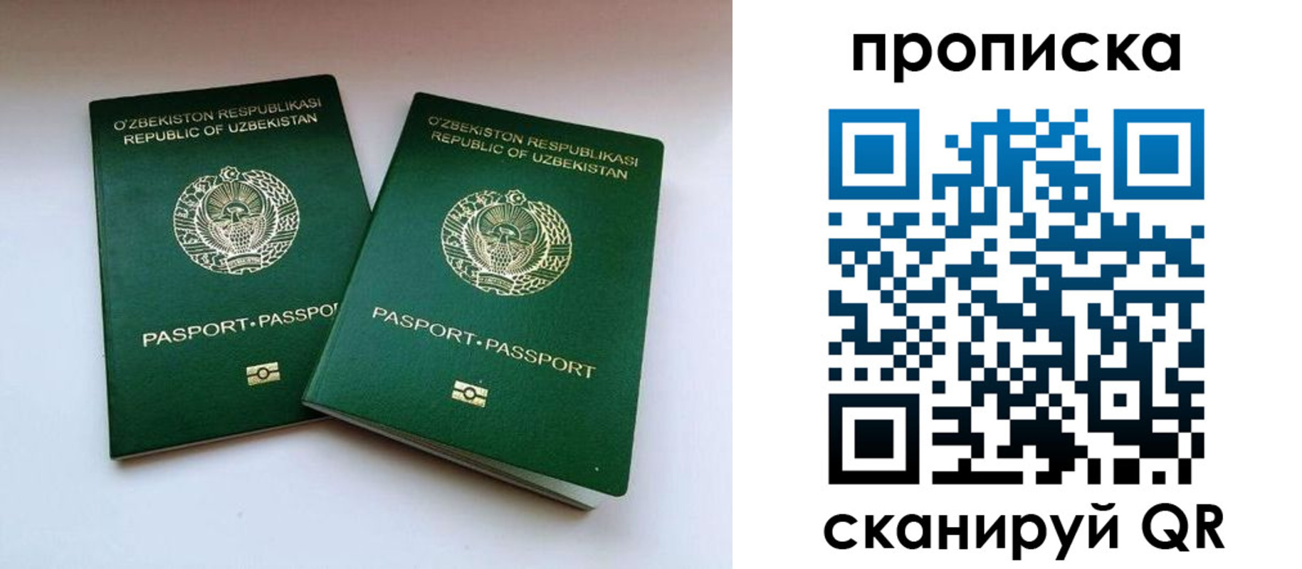 прописка поиск в Порхове